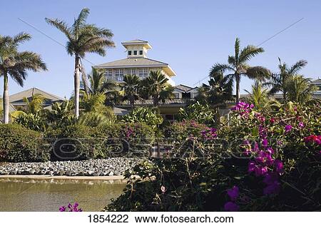 Resort, Varadero, Cuba View Large Photo Image Stock Image - Resort, Varadero, Cuba. Fotosearch