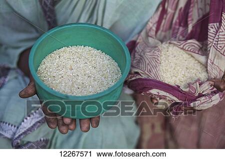 Stock Image - Rice; Rangpur, Bangladesh. Fotosearch