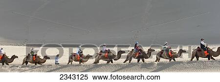 Riding Camels At Mingsha Mountain; Jiuquan, Gansu, China View Large Photo Image Stock Photography - Riding Camels At Mingsha Mountain; Jiuquan, Gansu, China. Fotosearch
