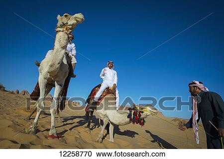 Stock Image - Riding camels; Madain Saleh, Saudi Arabia. Fotosearch