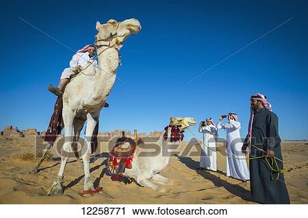 Stock Image - Riding camels; Madain Saleh, Saudi Arabia. Fotosearch
