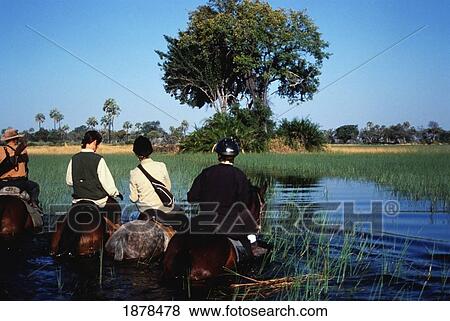 Riding On Horseback Through Water Channel View Large Photo Image Stock Photo - Riding On Horseback Through Water Channel. Fotosearch