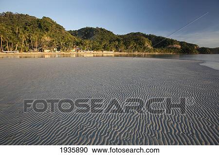 Rippled Sand Formations At Low Tide Along The Beach; Corong Corong, Bacuit Archipelago, Palawan, Philippines View Large Photo Image Stock Image - Rippled Sand Formations At Low Tide Along The Beach; Corong Corong, Bacuit Archipelago, Palawan, Philippines. Fotosearch