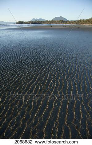 Ripples Form In The Sand At Chesterman's Beach And Frank Island Near Tofino; British Columbia Canada View Large Photo Image Stock Image - Ripples Form In The Sand At Chesterman's Beach And Frank Island Near Tofino; British Columbia Canada. Fotosearch