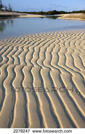 Stock Photo - Ripples in the sand on the beach of an island on the Indian Ocean; Mozambique. Fotosearch