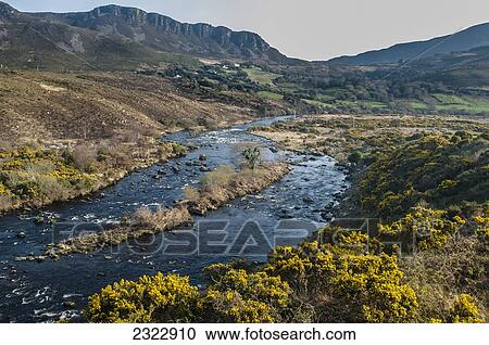 River Behy with MacGillycuddy's Reeks behind; Iveragh Peninsula, County Kerry, Ireland, UK View Large Photo Image Stock Image - River Behy with MacGillycuddy's Reeks behind; Iveragh Peninsula, County Kerry, Ireland, UK. Fotosearch