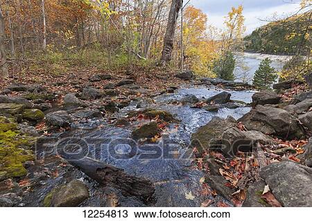 Stock Image - River in autumn; Halton Hills, Ontario, Canada. Fotosearch