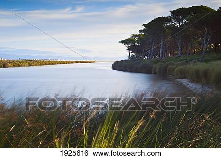Stock Photograph - River Rio Jara; Tarifa, Costa De La Luz, Cadiz, Andalusia, Spain. Fotosearch
