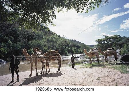 River Uaso View Large Photo Image Stock Photography - River Uaso. Fotosearch
