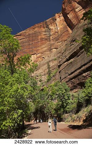 River Walk along Virgin River, walking to back of Zion Canyon to the Temple of Sinawava, Zion National Park; Utah, United States of America View Large Photo Image Stock Image - River Walk along Virgin River, walking to back of Zion Canyon to the Temple of Sinawava, Zion National Park; Utah, United States of America. Fotosearch