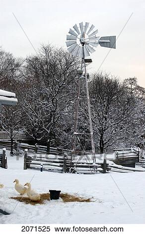 Riverdale Farm In Winter, Cabbagetown, Toronto View Large Photo Image Stock Photography - Riverdale Farm In Winter, Cabbagetown, Toronto. Fotosearch