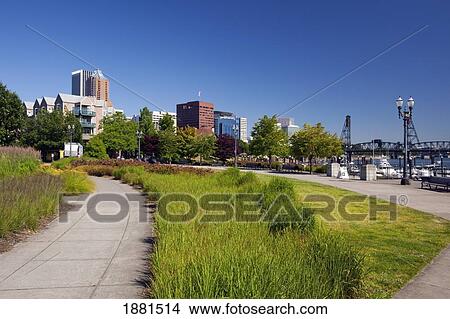 Picture - Riverplace Garden; Portland, Oregon, United States Of America. Fotosearch