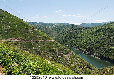 Stock Image - Road along Sil river, location of the famous Ribeira Sacra vineyard; Galicia, Spain. Fotosearch