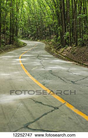 Road along the forest in the middle of Bohol Island; Philippines View Large Photo Image Stock Photo - Road along the forest in the middle of Bohol Island; Philippines. Fotosearch