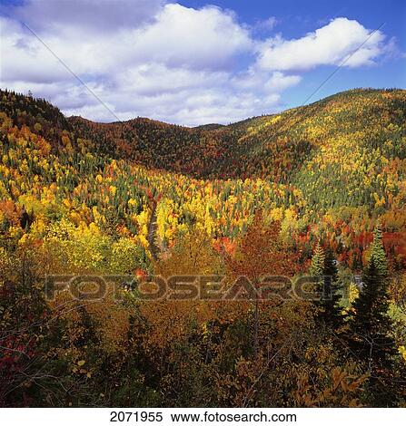 Stock Photography - Road In Fall, Gaspe Coast, Quebec. Fotosearch