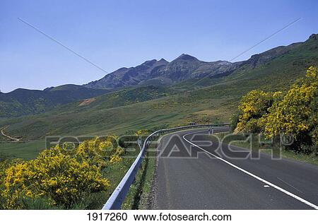Stock Image - Road Through Mountains. Picos De Europa. Fotosearch