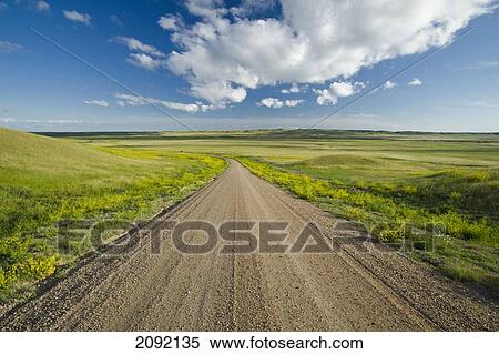 Road Through West Block Of Grasslands National Park; Saskatchewan Canada View Large Photo Image Stock Photography - Road Through West Block Of Grasslands National Park; Saskatchewan Canada. Fotosearch
