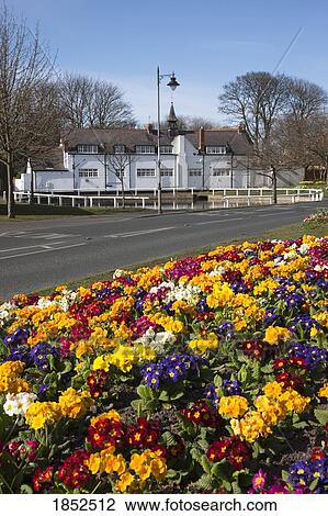 Stock Image - Roadside Flowerbed, Tyne And Wear, England. Fotosearch