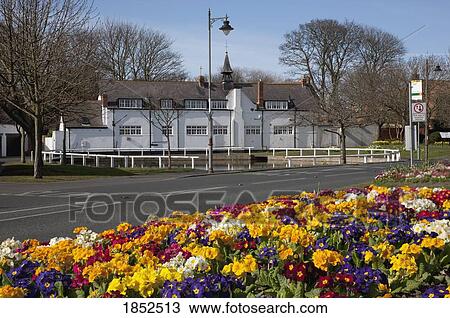 Roadside Flowerbed, Tyne And Wear, England View Large Photo Image Stock Image - Roadside Flowerbed, Tyne And Wear, England. Fotosearch