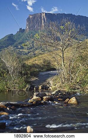 Picture - Roaima Tepuis Rocks And Stream. Fotosearch