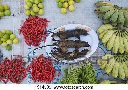Stock Photography - Roasted Field Rats On Market Stall. Fotosearch