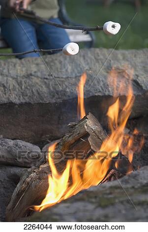 Roasting Marshmallows Over A Campfire; Vermont Usa View Large Photo Image Picture - Roasting Marshmallows Over A Campfire; Vermont Usa. Fotosearch