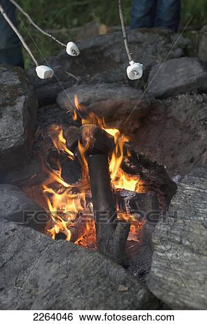 Roasting Marshmallows Over An Open Campfire; Vermont Usa View Large Photo Image Stock Photograph - Roasting Marshmallows Over An Open Campfire; Vermont Usa. Fotosearch