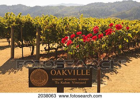 Robert Mondavi Winery; Napa Area California United States Of America View Large Photo Image Stock Image - Robert Mondavi Winery; Napa Area California United States Of America. Fotosearch