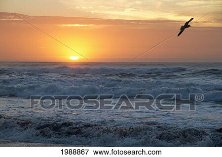 Stock Photo - Rocas De Santo Domingo Beach At Sunset, Santo Domingo, Chile. Fotosearch