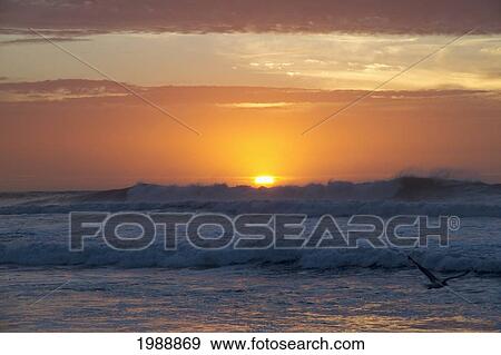 Stock Photo - Rocas De Santo Domingo Beach At Sunset, Santo Domingo, Chile. Fotosearch