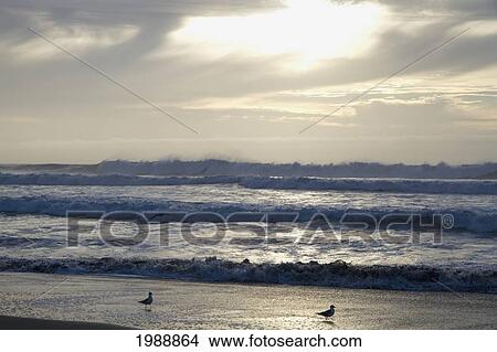 Picture - Rocas De Santo Domingo Beach, Santo Domingo, Chile. Fotosearch