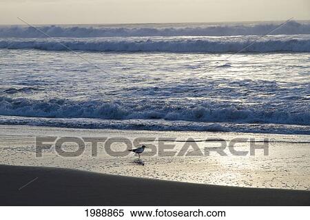 Stock Photography - Rocas De Santo Domingo Beach, Santo Domingo, Chile. Fotosearch
