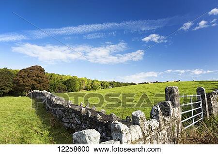 Rock fence with metal gate and grassy hillside with cattle grazing, trees and blue sky and clouds, North of Kilrush; County Clare, Ireland View Large Photo Image Stock Image - Rock fence with metal gate and grassy hillside with cattle grazing, trees and blue sky and clouds, North of Kilrush; County Clare, Ireland. Fotosearch