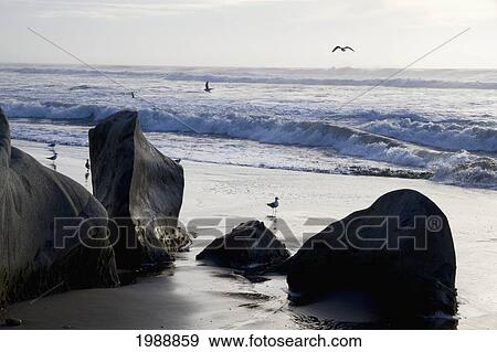 Stock Photo - Rock Formation By Rocas De Santo Domingo Beach, Santo Domingo, Chile. Fotosearch