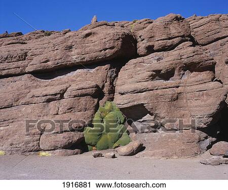 Stock Image - Rock Formations, Green Moss. Fotosearch