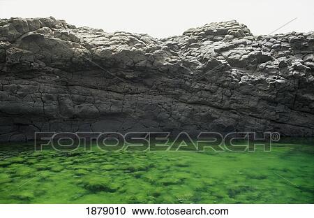 Rock Pool View Large Photo Image Stock Image - Rock Pool. Fotosearch