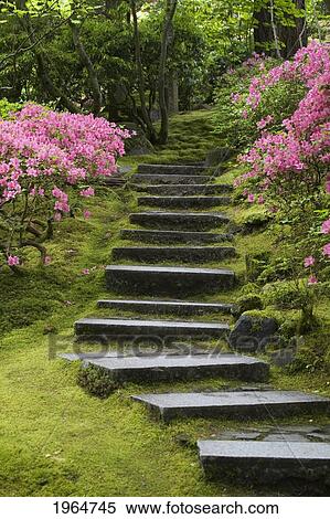 Stock Photography - Rock Stairway Along A Moss Covered Hill With Flowering Bushes; Portland Oregon United States Of America. Fotosearch
