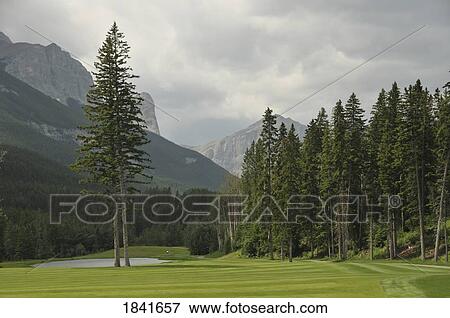 Rockies; Canmore, Alberta, Canada View Large Photo Image Stock Photo - Rockies; Canmore, Alberta, Canada. Fotosearch