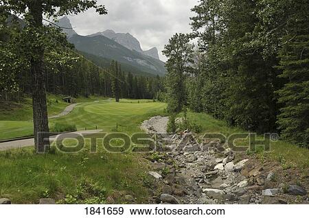 Rockies; Canmore, Alberta, Canada View Large Photo Image Stock Photo - Rockies; Canmore, Alberta, Canada. Fotosearch
