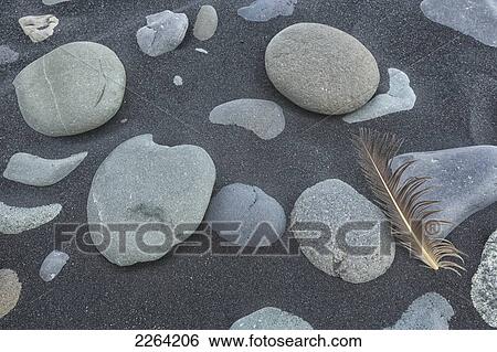 Rocks and a feather lay in volcanic sand; iceland View Large Photo Image Stock Photograph - Rocks and a feather lay in volcanic sand; iceland. Fotosearch