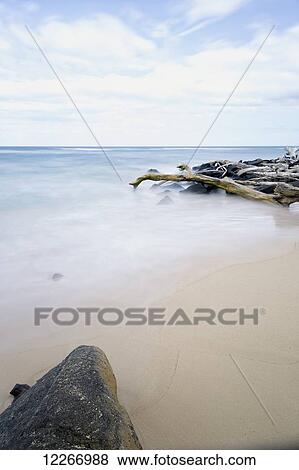 Rocks and driftwood along the beach; Wailua, Kauai, Hawaii, United States of America View Large Photo Image Stock Photo - Rocks and driftwood along the beach; Wailua, Kauai, Hawaii, United States of America. Fotosearch
