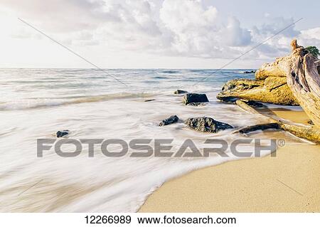 Stock Photo - Rocks and driftwood along the beach after sunrise; Wailua, Kauai, Hawaii, United States of America. Fotosearch