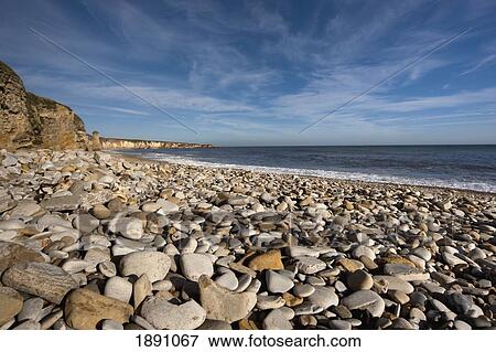 Stock Photo - Rocks On A Beach Along The Shore; South Shields, Tyne And Wear, England. Fotosearch