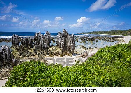 Stock Image - Rocky coastline; Nauru. Fotosearch