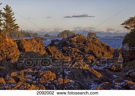 Rocky Coastline With Snow; Ucluelet Vancouver Island British Columbia Canada View Large Photo Image Stock Image - Rocky Coastline With Snow; Ucluelet Vancouver Island British Columbia Canada. Fotosearch