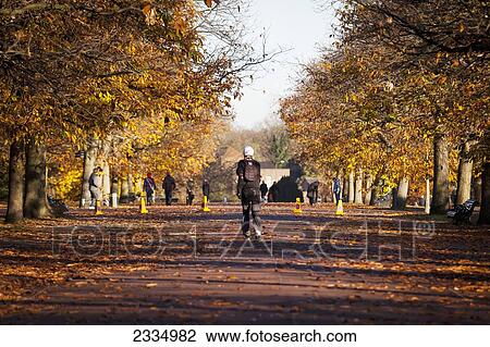 Roller Skater And Autumn Colors In Greenwich Park; Greenwich, London, England, Uk View Large Photo Image Stock Image - Roller Skater And Autumn Colors In Greenwich Park; Greenwich, London, England, Uk. Fotosearch