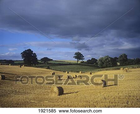 Stock Photography - Rolling Fields In Gwent. Fotosearch