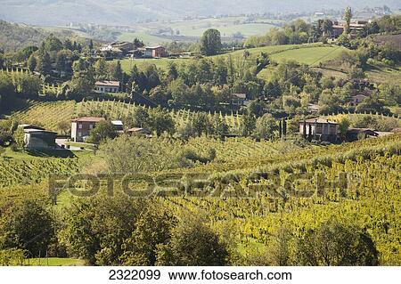 Stock Photo - Rolling hills of vineyards and farm houses; Torrechiara, Emilia-Romagna, Italy. Fotosearch