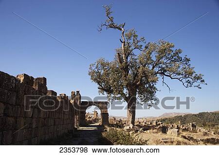 Stock Photo - Roman ruins beside the Severan Temple; Djemila, Algeria. Fotosearch