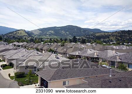 Rooftops In Neighborhood Suburb; British Columbia, Canada View Large Photo Image Stock Image - Rooftops In Neighborhood Suburb; British Columbia, Canada. Fotosearch